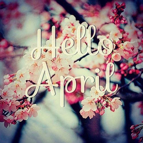 hello,april 你好,春天.