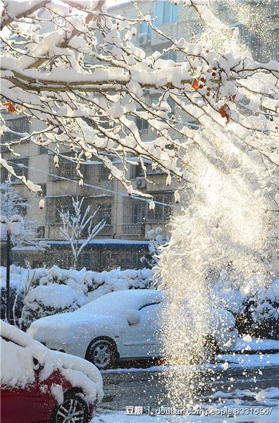 北京大雪