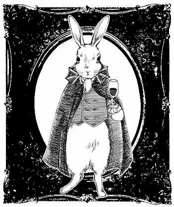 帅气的兔子先生