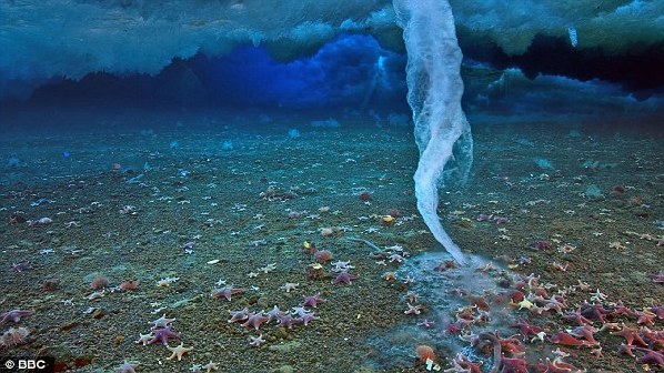 极地海洋"死亡冰柱"或暗示地球生命起源(图)