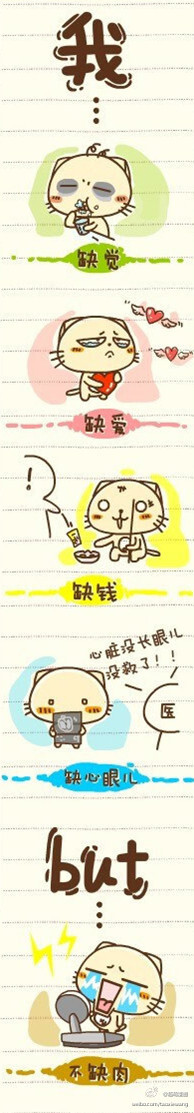 不缺肉 