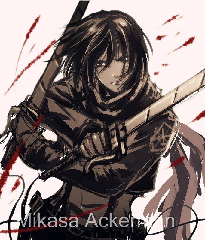 mikasa 