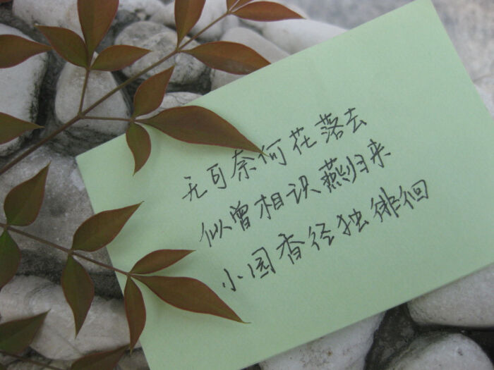 无可奈何花落去.