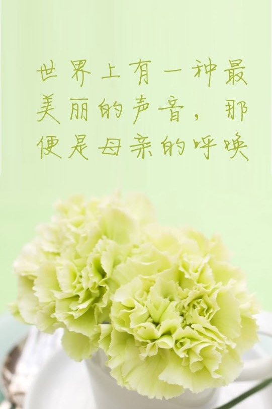 我爱我亲爱妈妈"""女儿已长大不愿牵着妈妈的手走过春夏秋冬""""妈妈
