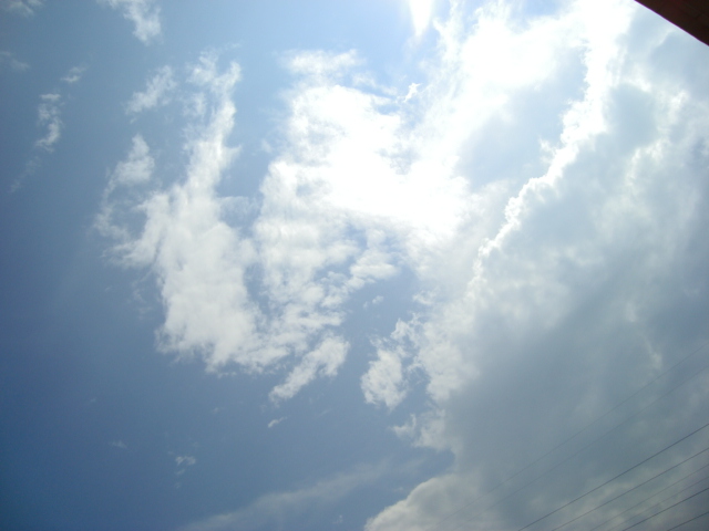 8月19日 雨后的太阳