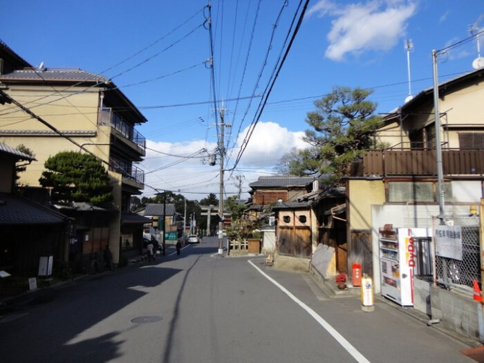 日本永住人口_日本人口图(3)