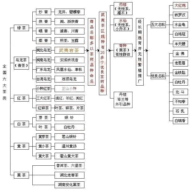 中国茶的分类,即使你不爱喝茶,也应该懂得一些茶叶的知识