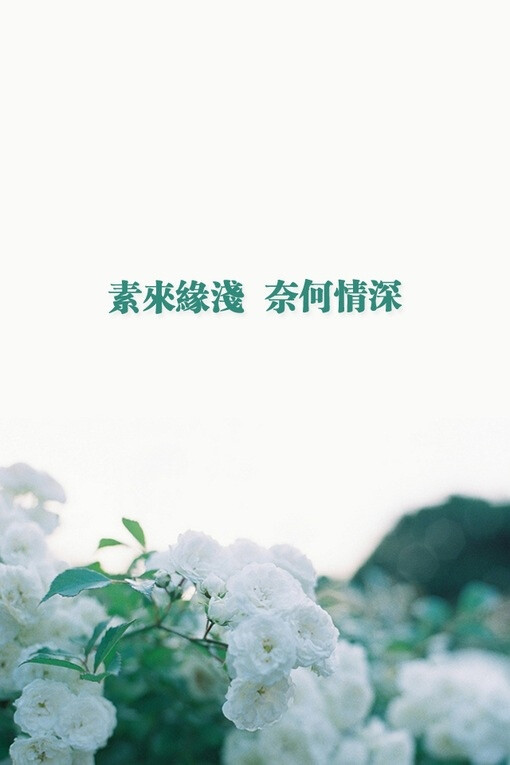 素来缘浅,奈何情深.文艺复古清新风景文字壁纸.