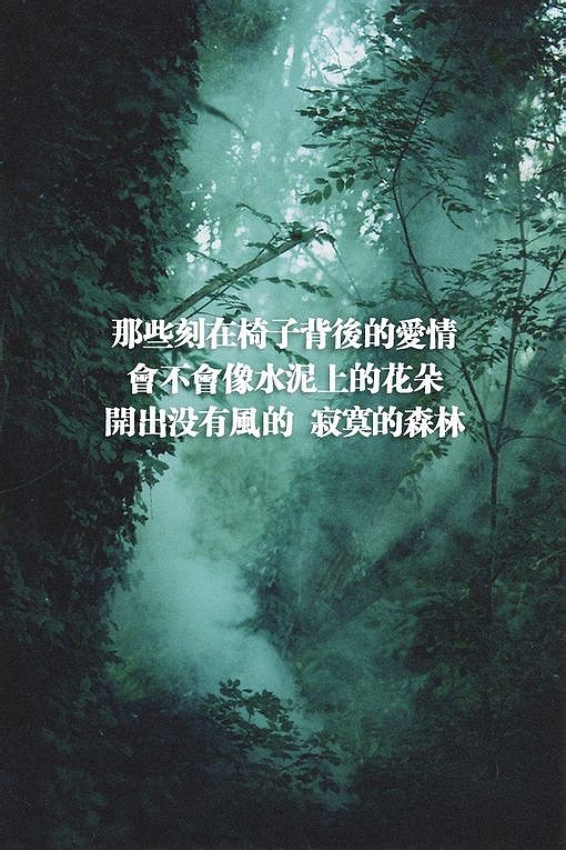 我喜欢现在的自己,我怀念过去的我们