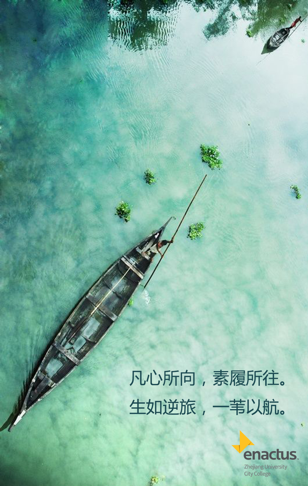 凡心所向,素履所往