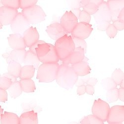 和风 樱花 背景图