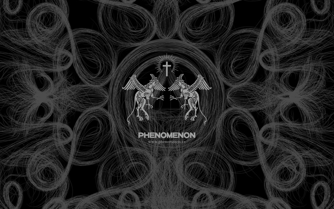 特立独行的专属风格,phenomenon