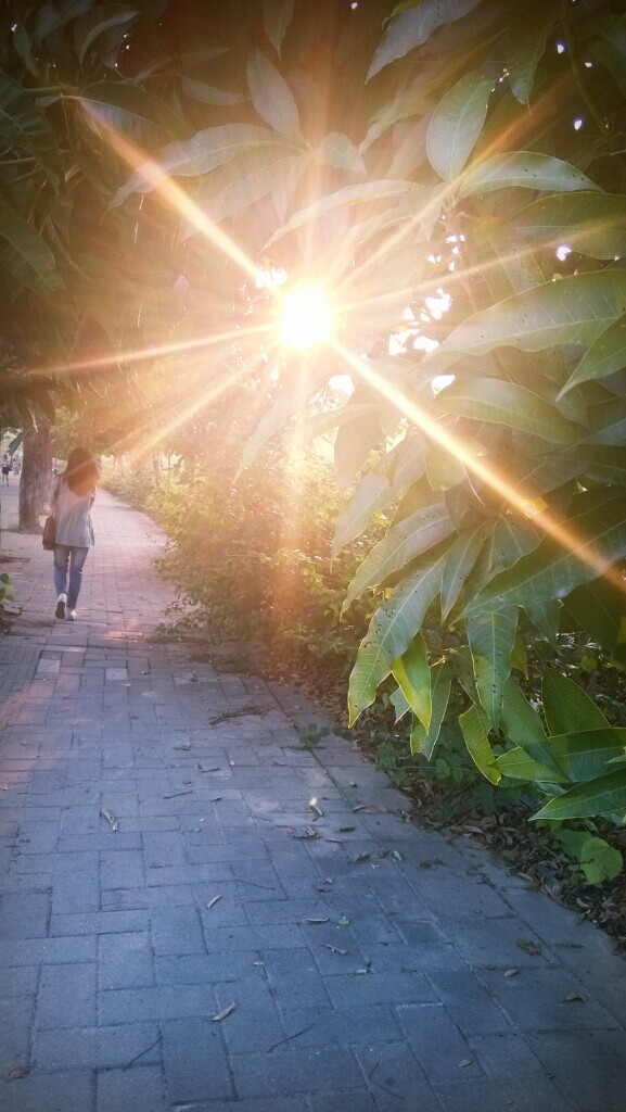 总有一束阳光会在身后照耀,路总要一个人走