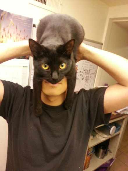 梅西的黑猫死了吗「梅西的猫踢球是真的吗在哪一场」