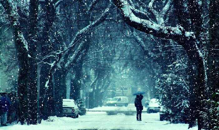 雪景,夜归人
