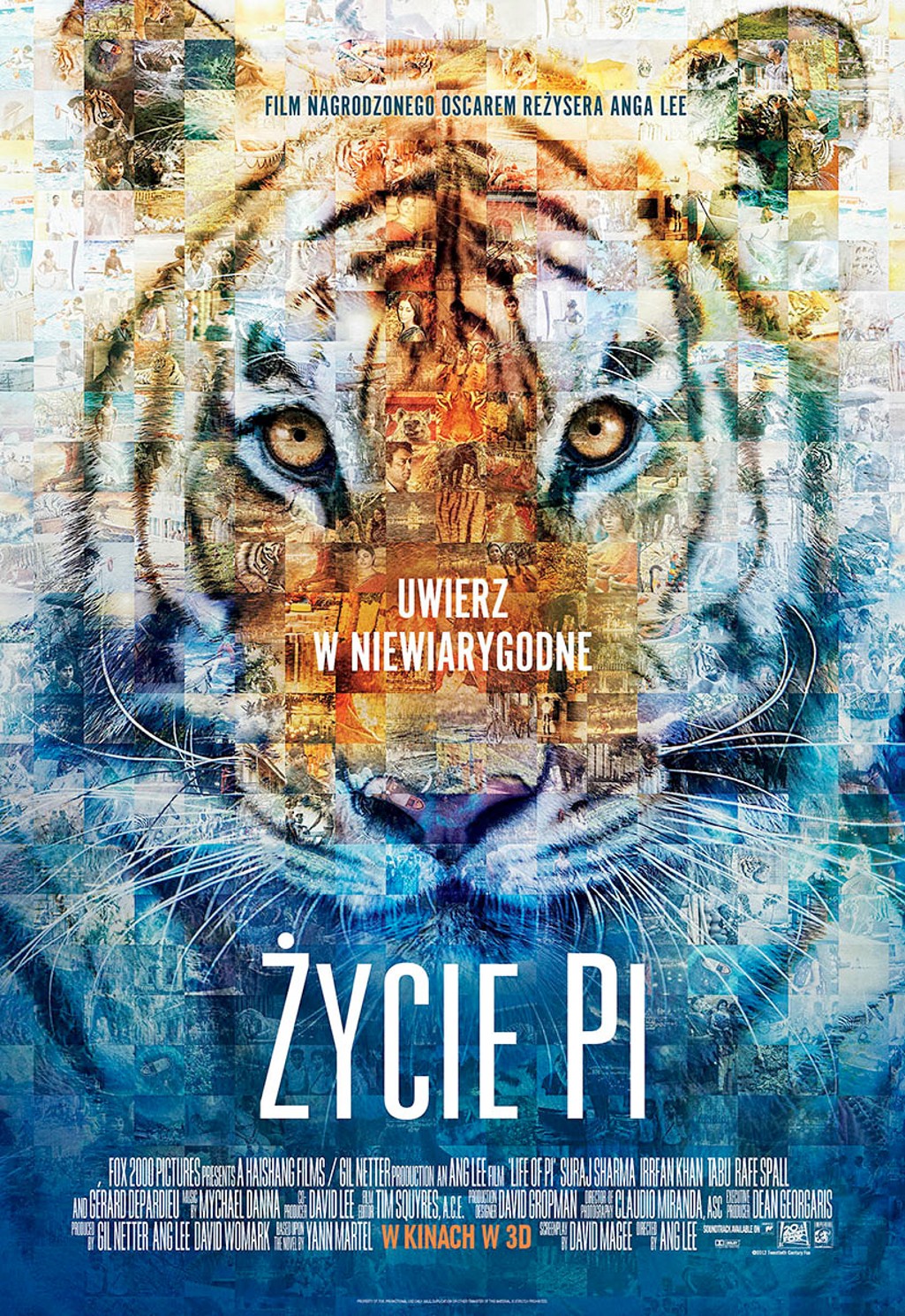 少年派的奇幻漂流 life of pi (2012) 整个片子本身就是传奇,海报太棒
