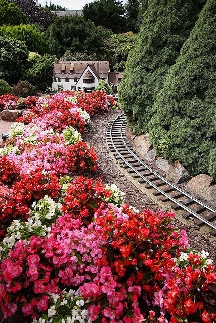 鲜花路