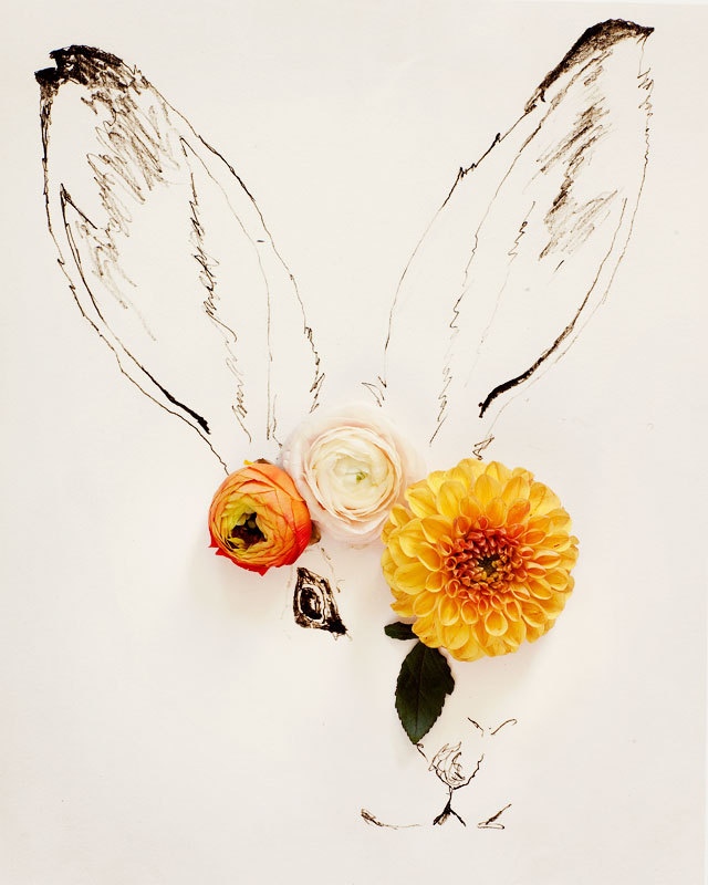 一场与花朵的邂逅:多彩花卉与简洁手绘插画结合的创意作品(美国艺术家