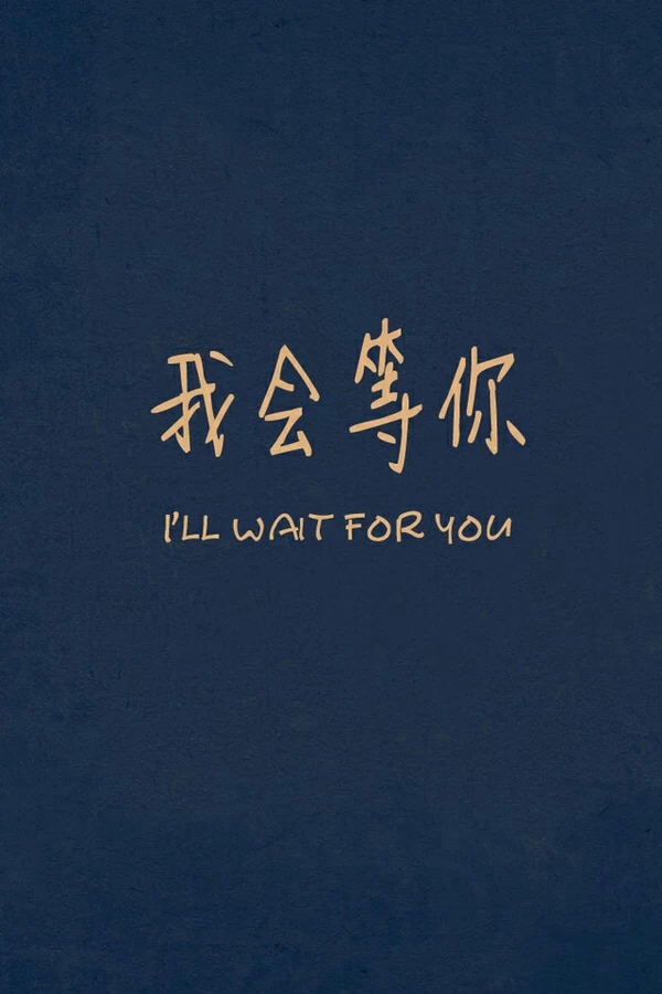 i will wait for you什么意思