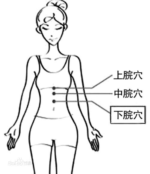 【穴位】中脘,经穴名.出《针灸甲乙经》.《脉经》名中管.