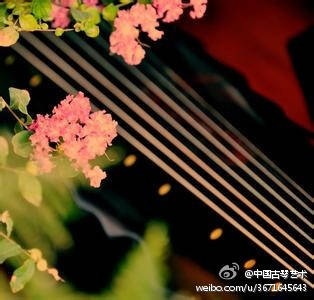 古琴