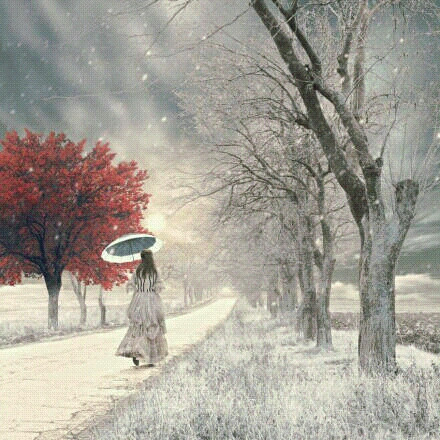 古风 一个人的雪天,一个人的路,一个人的寂寞
