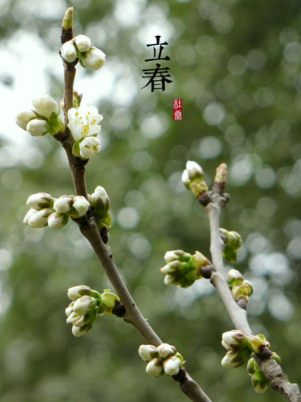 【二十四节气】立春