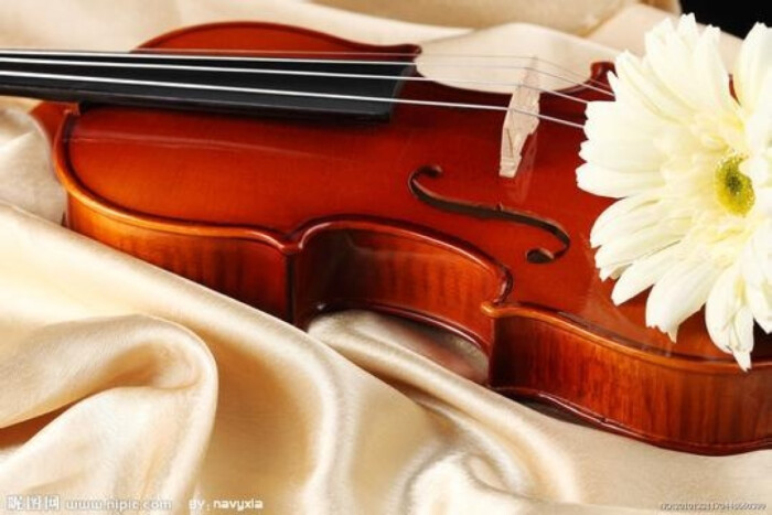 小提琴 唯美 乐器 素雅