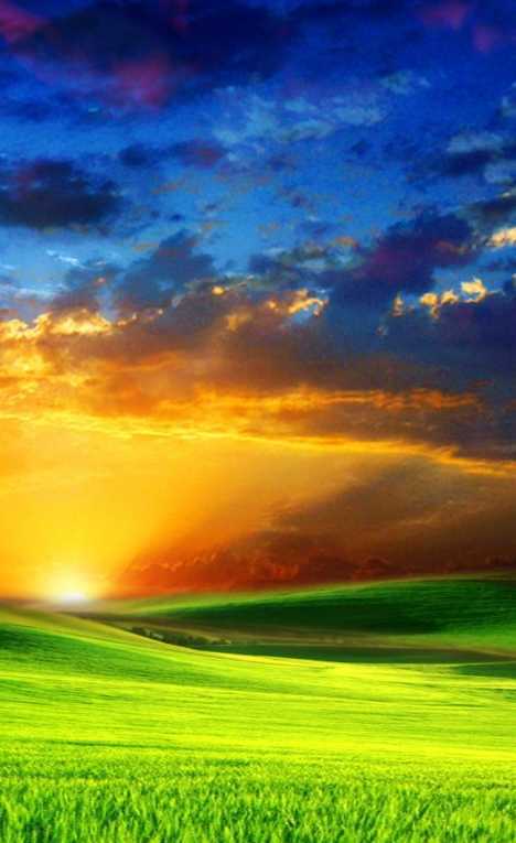 当青草地与夕阳,蓝天和周围的环境相映衬的时候,会形成绝美的画面.