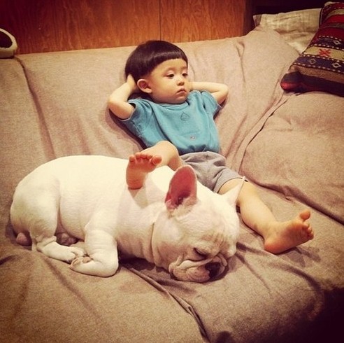 来自日本的妈妈aya sakai用instagram为自己儿子与家中法国斗牛犬拍摄