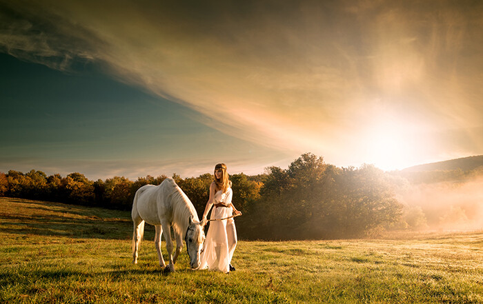 欧美 美女风景 阳光 草地 野外 骏马 马匹 白马 美女壁纸 唯美意境