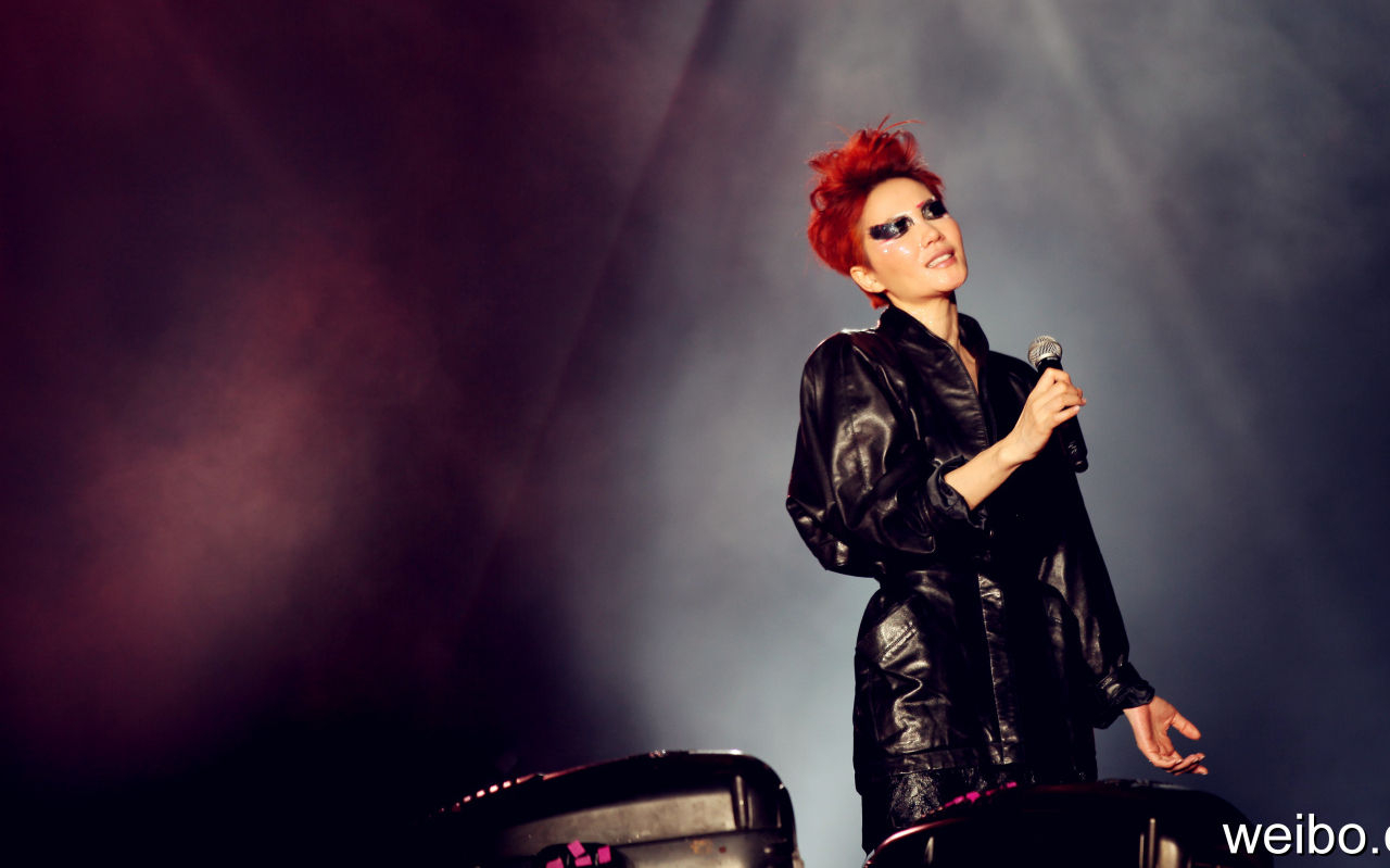 2010 — 2011 王菲演唱会
