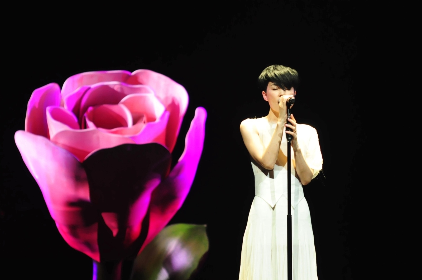 2010 — 2011 王菲演唱会 - 堆糖,美图壁纸兴趣社区