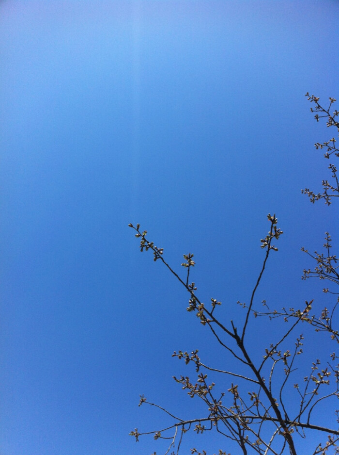 喜欢万里无云的蓝天!