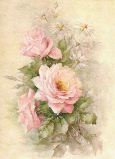 水粉画 蔷薇 玫瑰 手机壁纸 复古