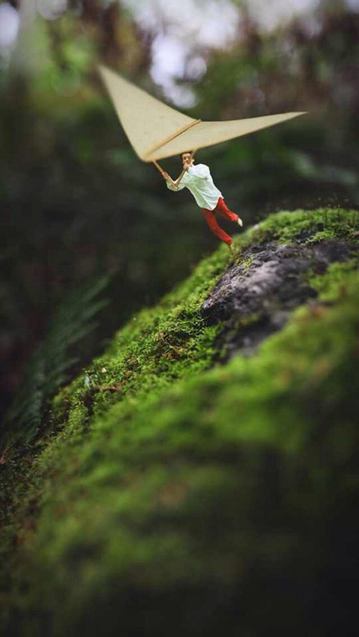 小人物 大世界