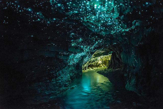 glowworm caves in waitomo, new zealand this specific spot in the