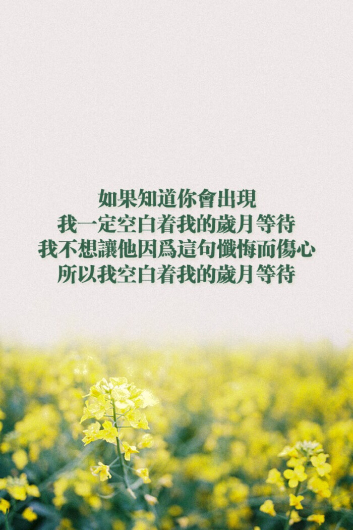 所以我空白着我的岁月等待.