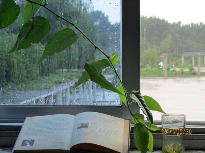 窗外有雨.台上有茶.