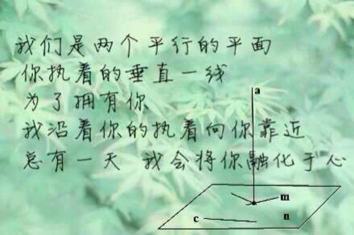 数学情书 壁纸 文字