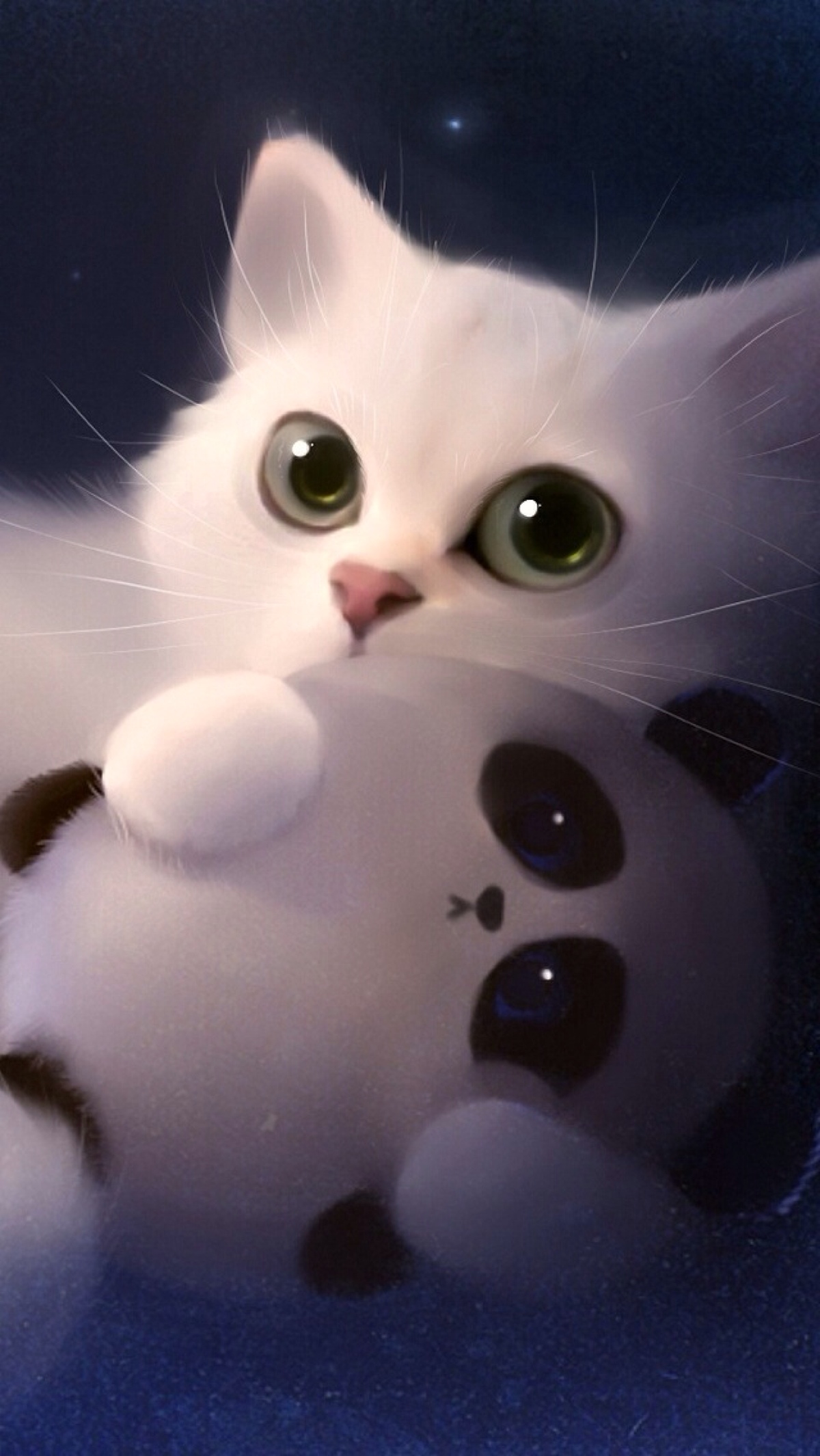猫咪