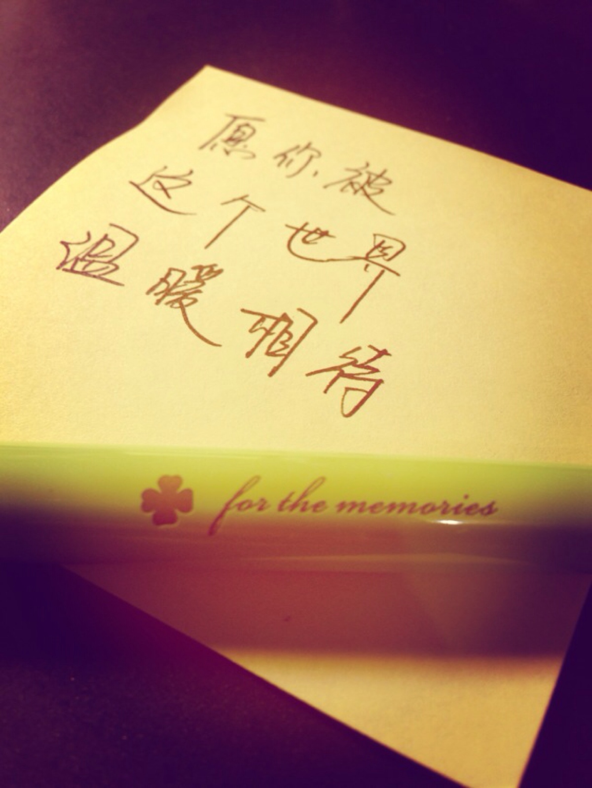 亲爱的,愿你被这个世界温暖相待