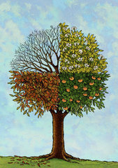 很有创意的画,代表了树从春到冬的死亡和新生.