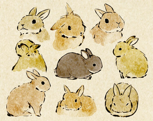兔子.-----日本画师usao(兎尾@taiga15)的动物插画.