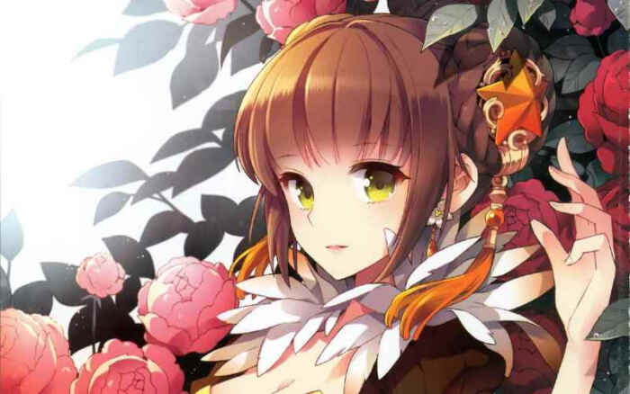 山茶花 camellia 少女