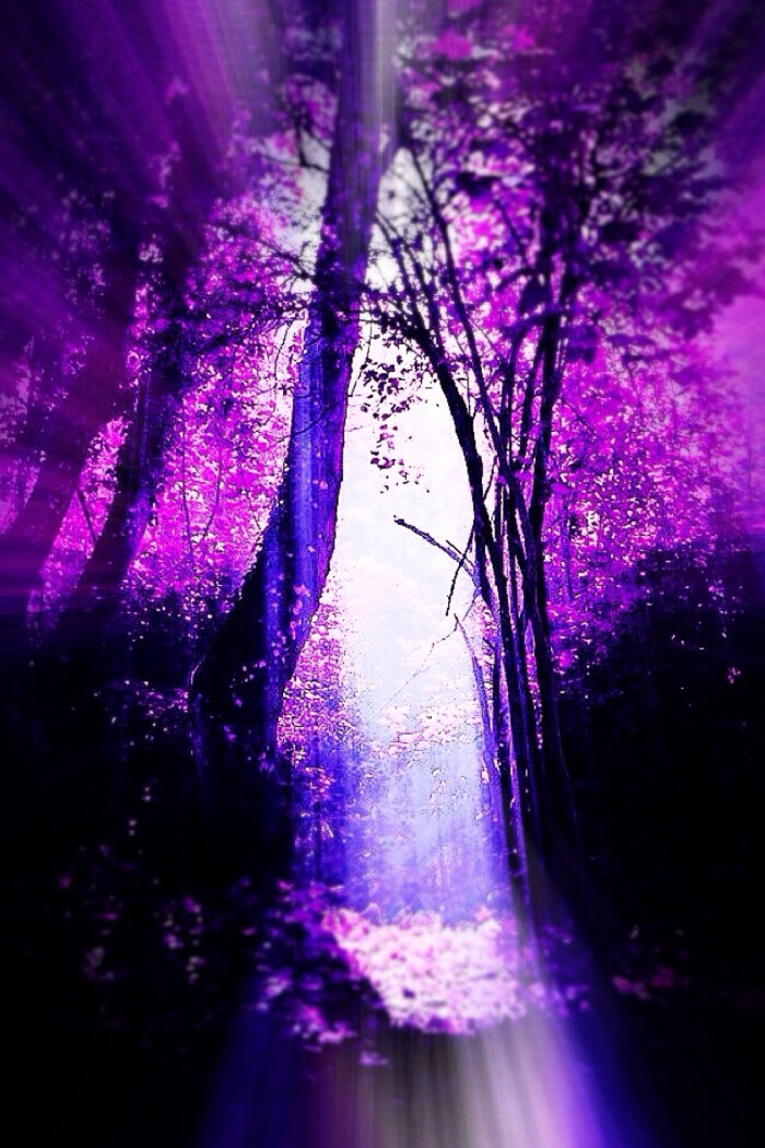 手机壁纸 紫色系 :好神秘的感觉,好梦幻,爱紫色