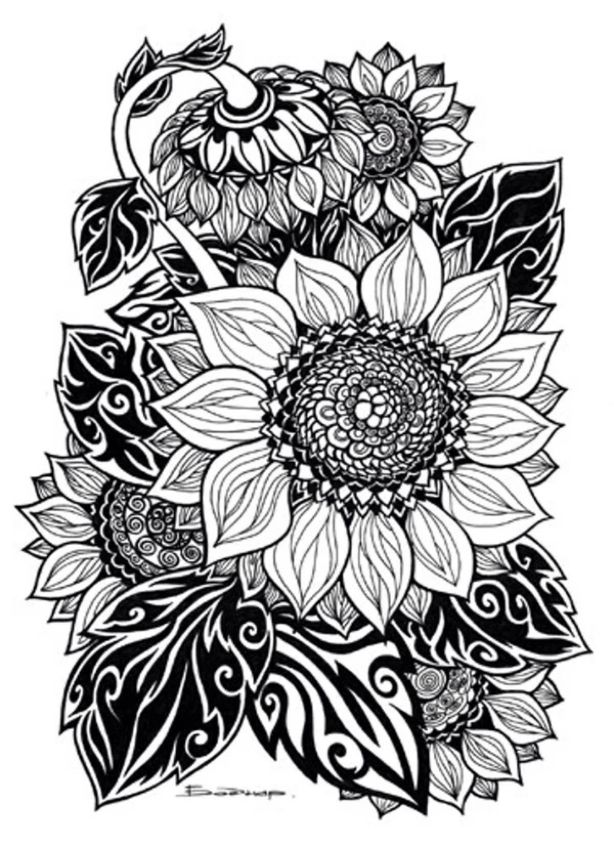 线描画 