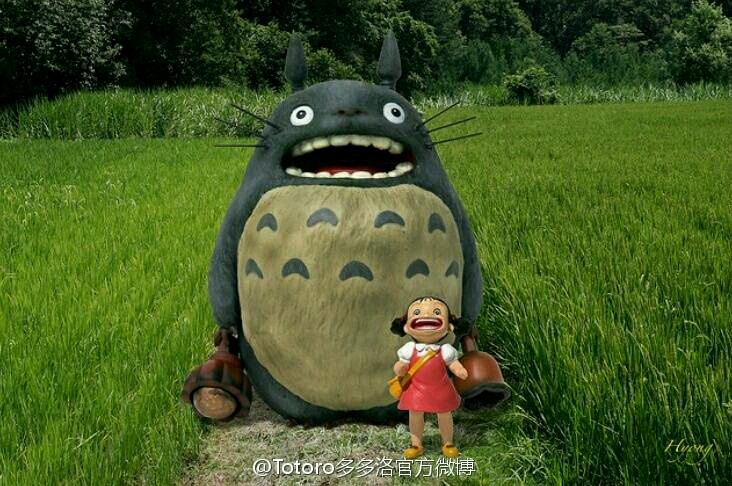 豆豆龙 龙猫 totoro!