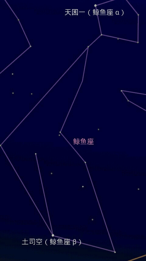 游在宇宙里的大鲸鱼.