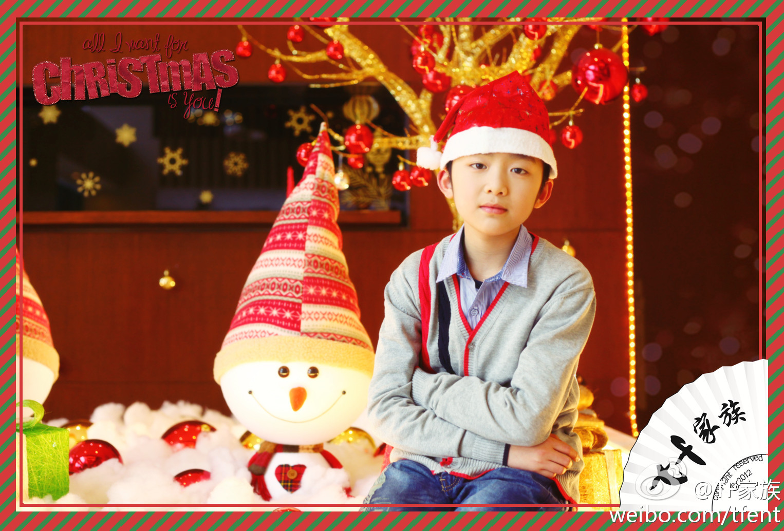 tf家族刘志宏20121220